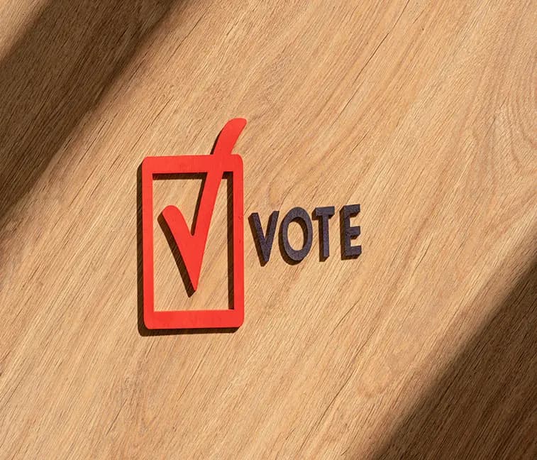 Voter Management & Eligibility Control